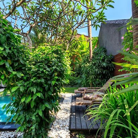 Anjali Villas Σεμινιάκ Εξωτερικό φωτογραφία